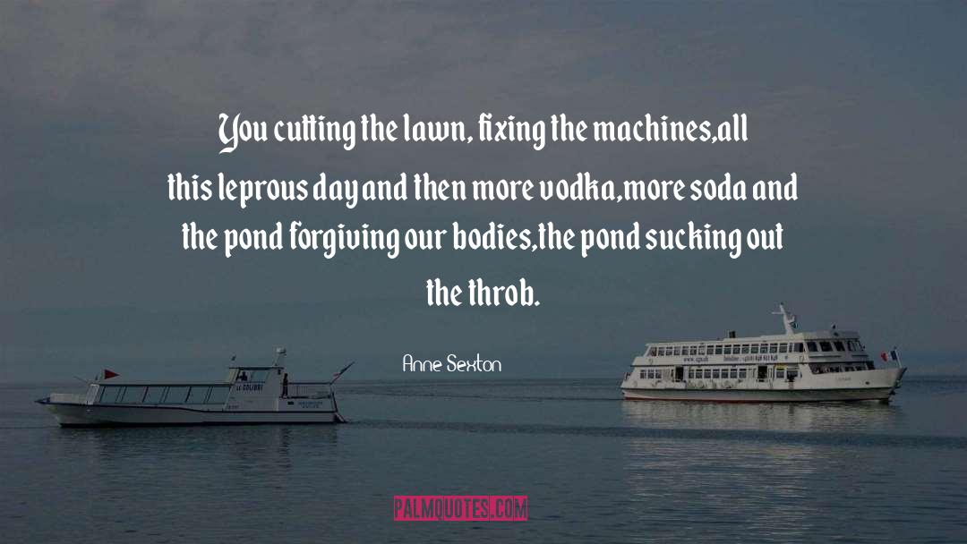 Soda quotes by Anne Sexton