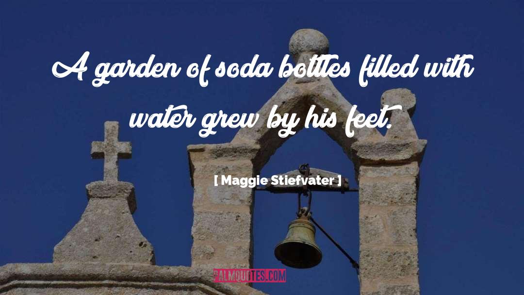 Soda quotes by Maggie Stiefvater