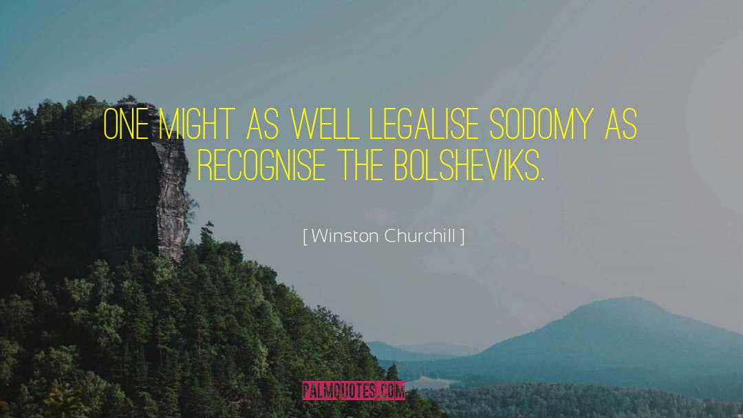 Sodomy quotes by Winston Churchill