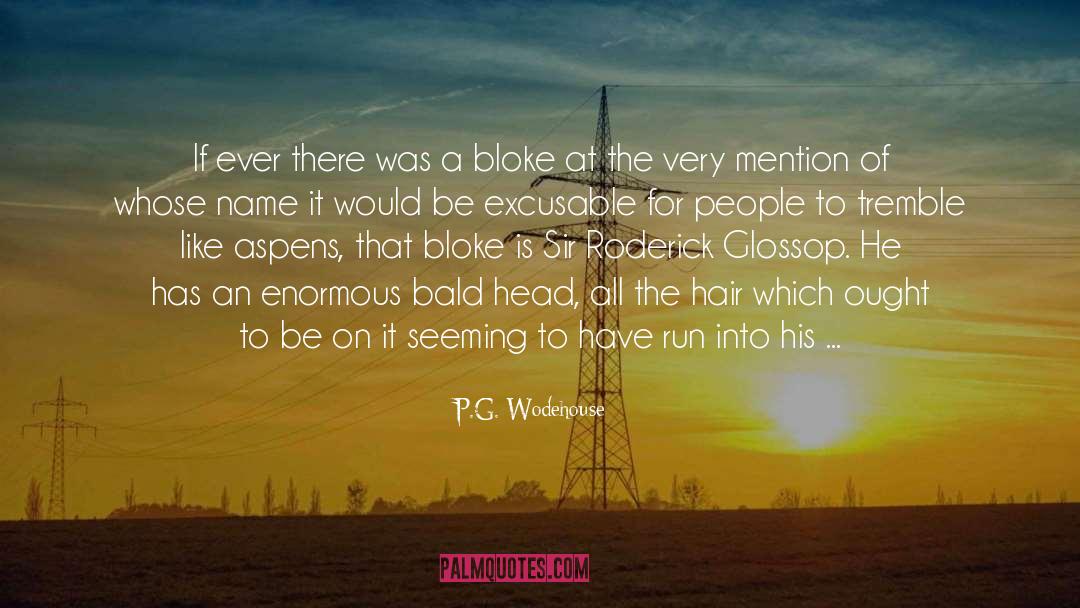 Softens Hair quotes by P.G. Wodehouse