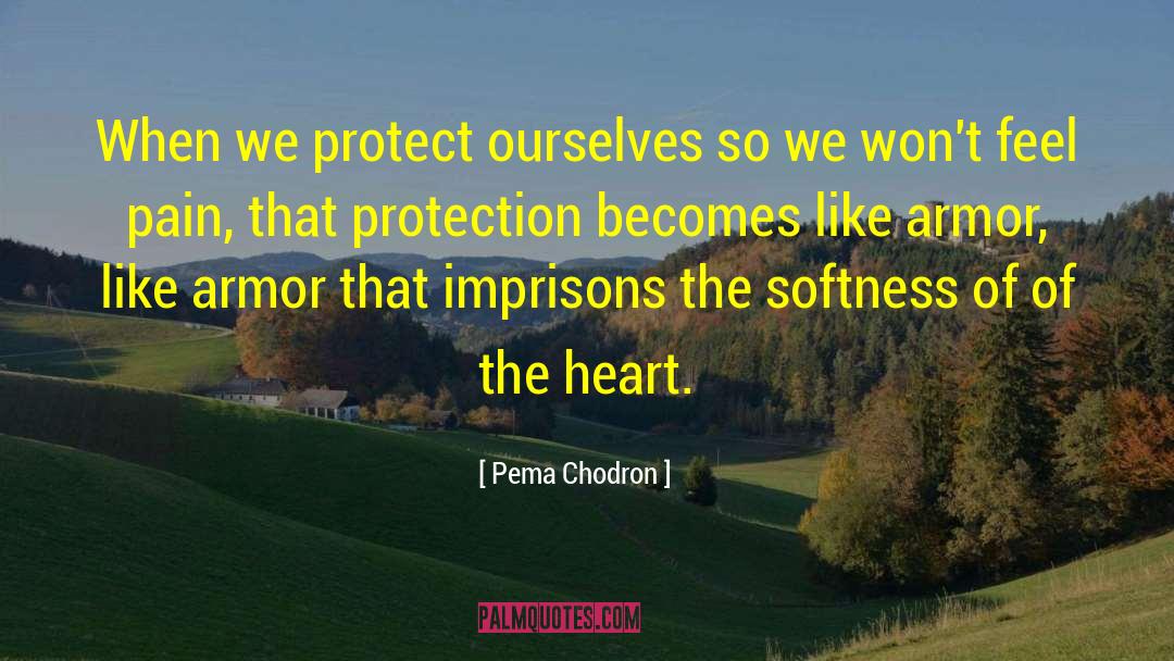 Softness quotes by Pema Chodron