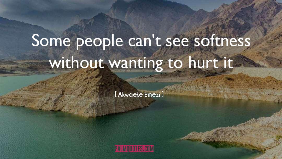 Softness quotes by Akwaeke Emezi