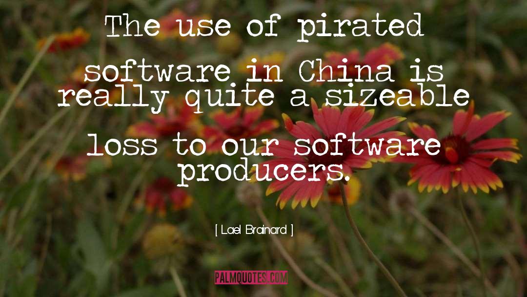 Software Architecture quotes by Lael Brainard