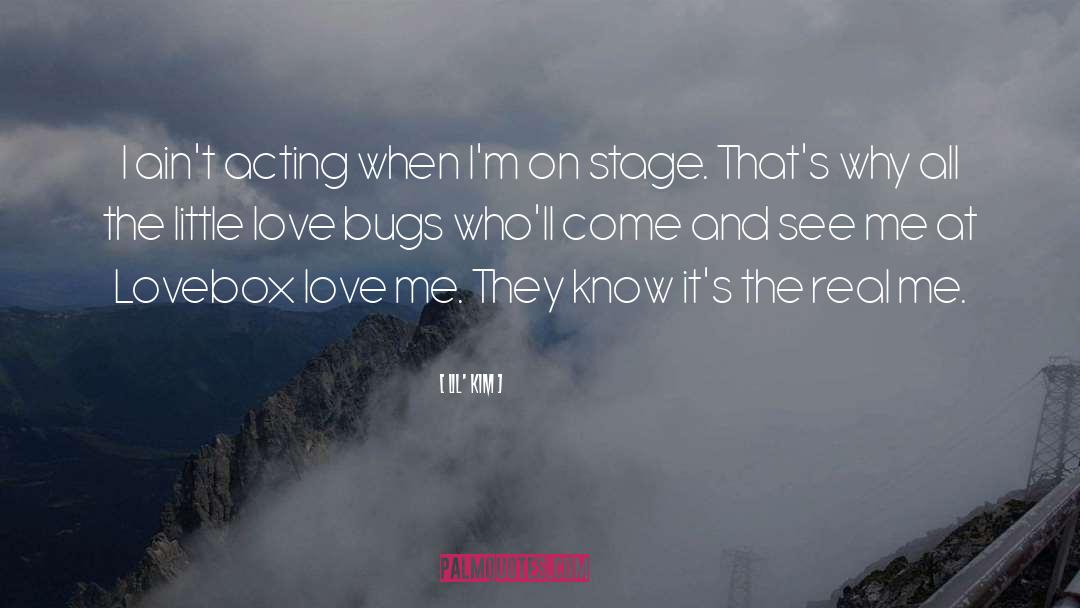 Software Bugs quotes by Lil' Kim