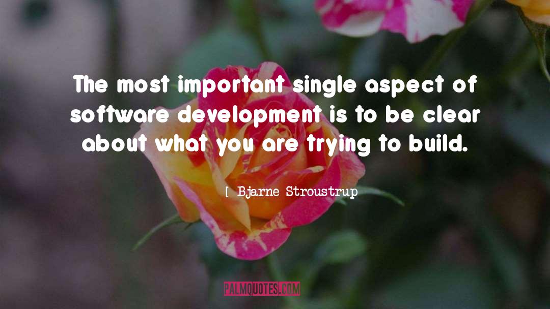 Software Craftmanship quotes by Bjarne Stroustrup