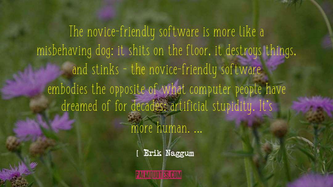 Software Craftmanship quotes by Erik Naggum