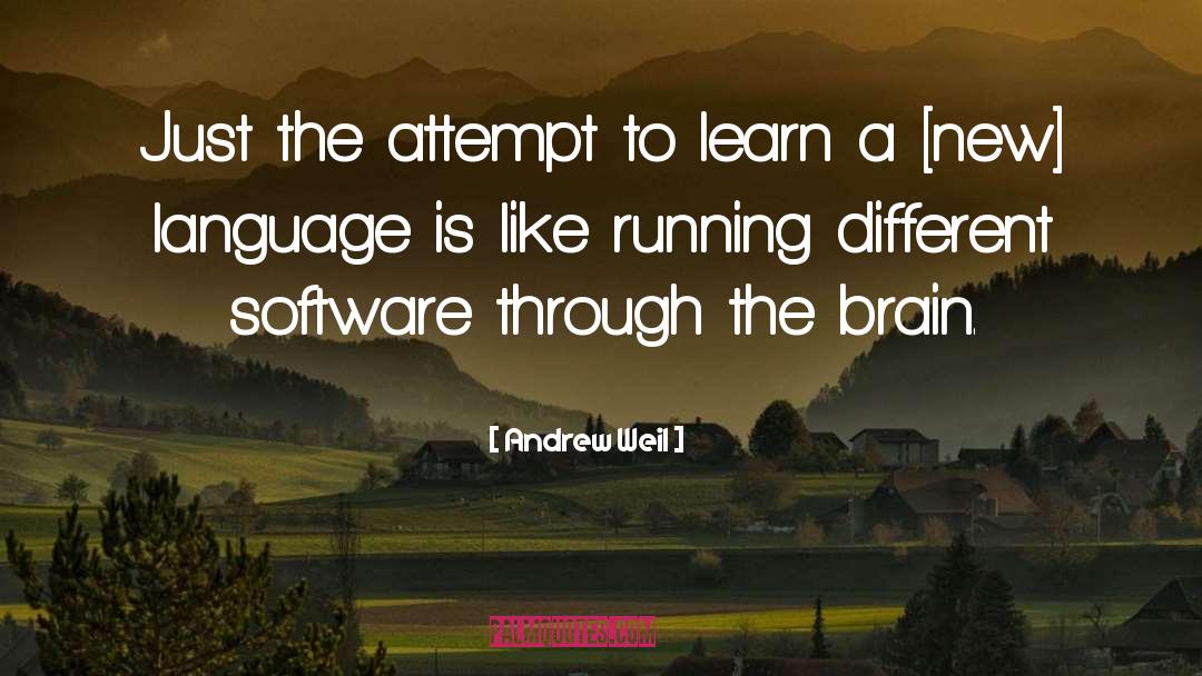 Software Developers quotes by Andrew Weil