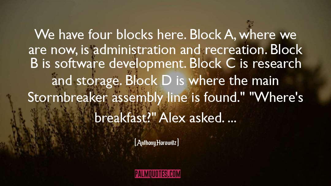 Software Development quotes by Anthony Horowitz