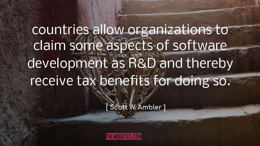 Software Development quotes by Scott W. Ambler