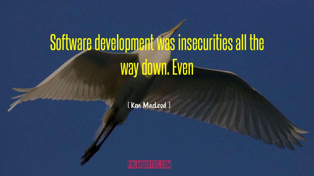 Software Development quotes by Ken MacLeod