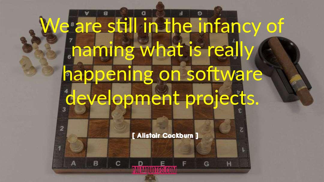 Software Development quotes by Alistair Cockburn