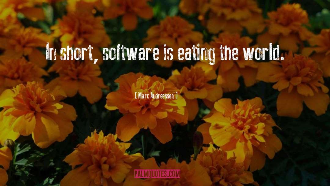Software quotes by Marc Andreessen