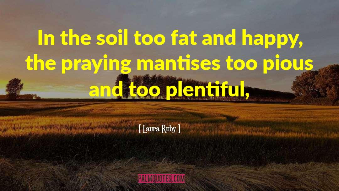 Soil Pollution quotes by Laura Ruby