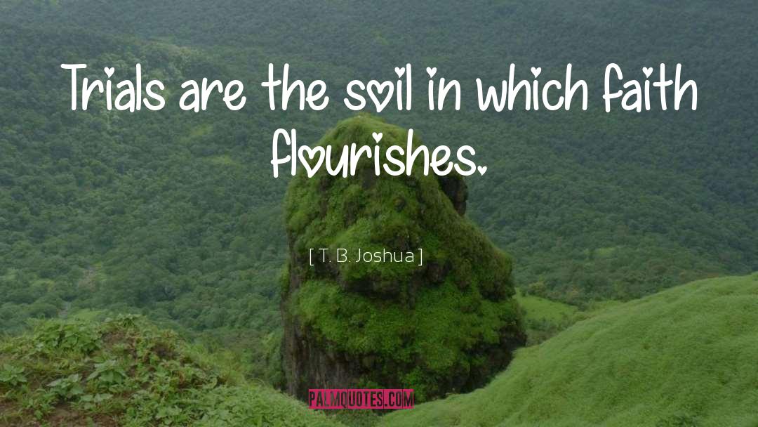 Soil quotes by T. B. Joshua