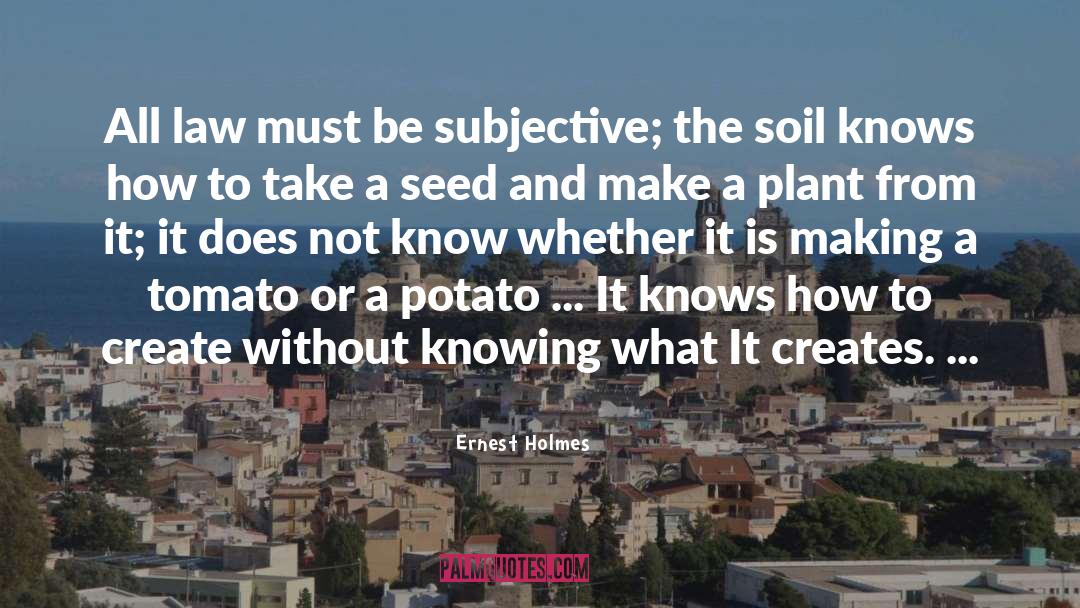 Soil quotes by Ernest Holmes