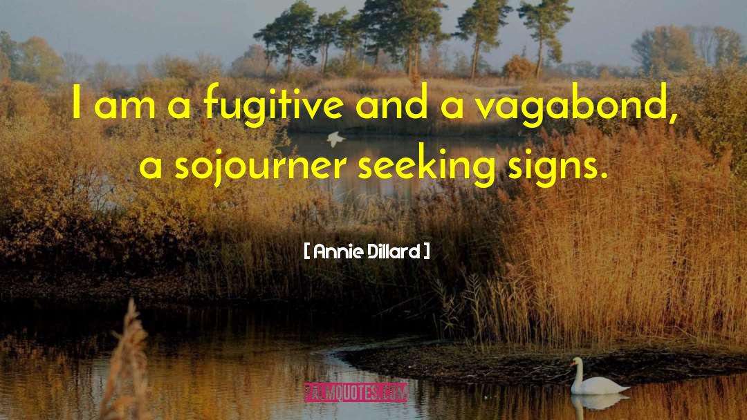 Sojourner quotes by Annie Dillard