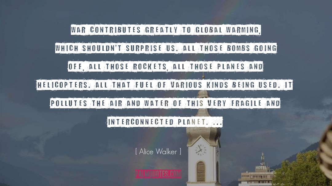 Sokolsky Helicopters quotes by Alice Walker