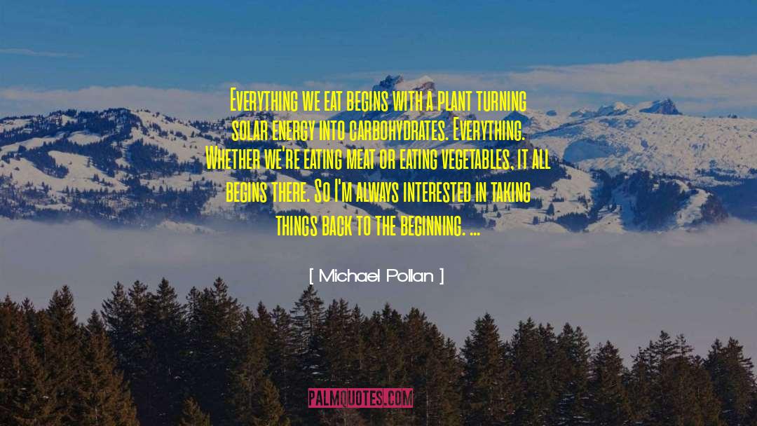 Solar Energy quotes by Michael Pollan