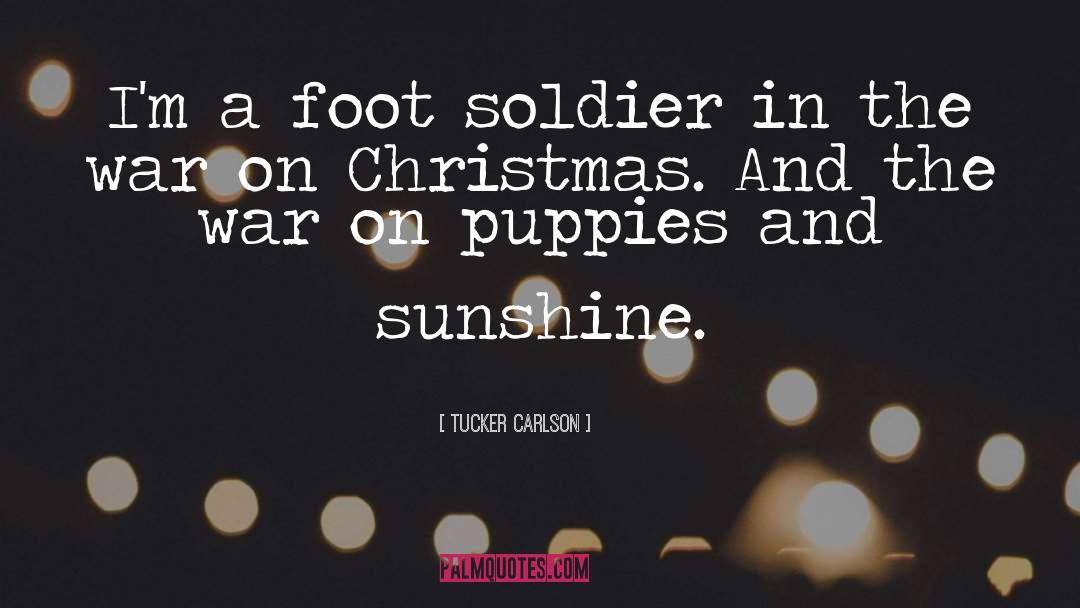 Soldier quotes by Tucker Carlson