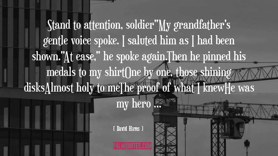 Soldier What quotes by David Hayes