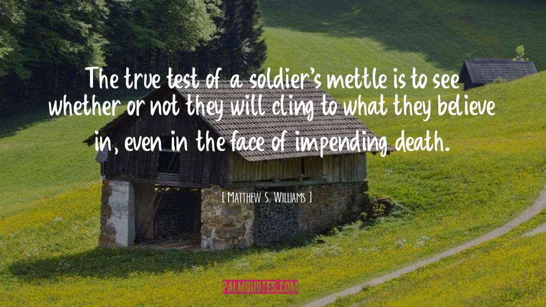 Soldier What quotes by Matthew S. Williams