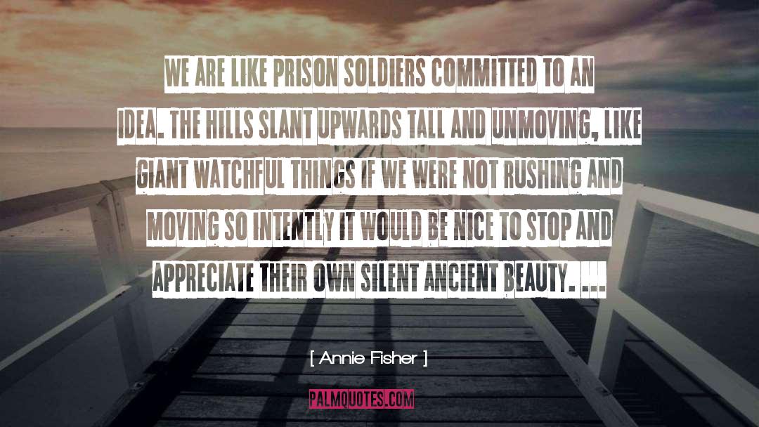 Soldiers quotes by Annie Fisher