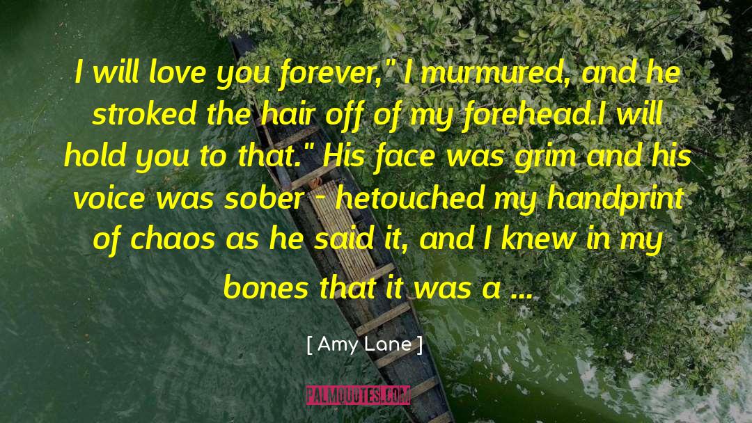 Solemn quotes by Amy Lane