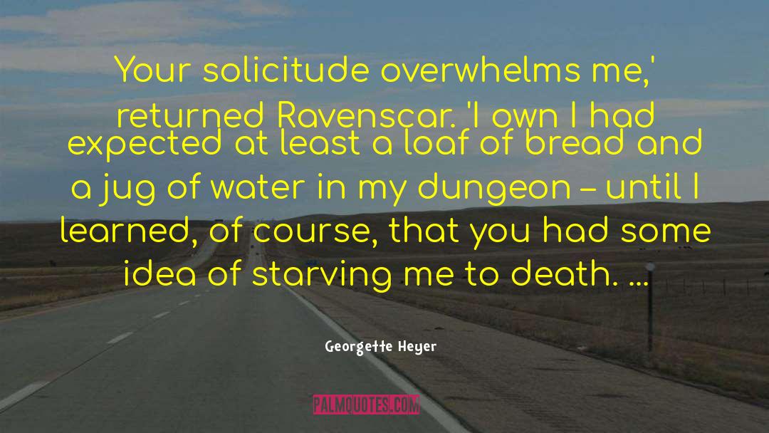 Solicitude quotes by Georgette Heyer