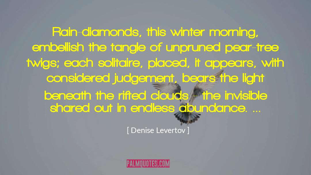 Solitaire quotes by Denise Levertov