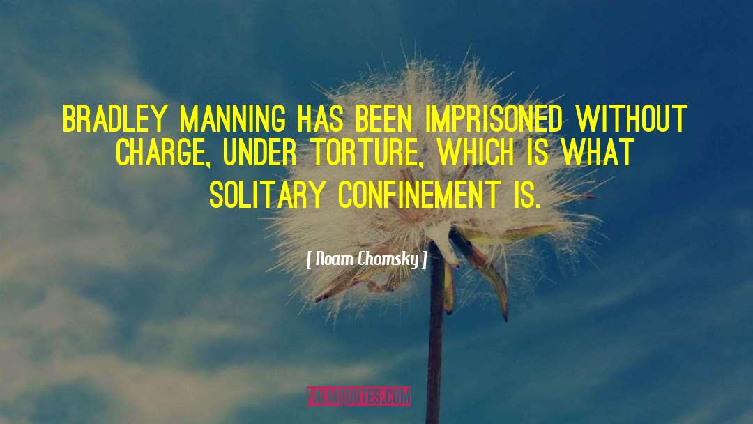 Solitary Confinement quotes by Noam Chomsky