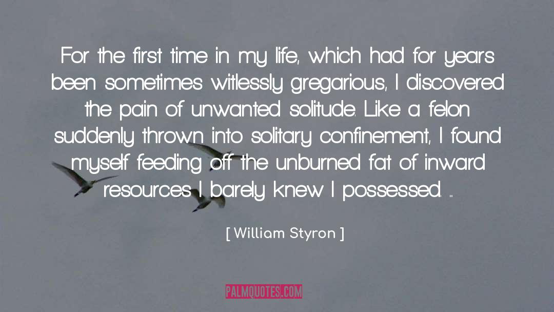 Solitary Confinement quotes by William Styron