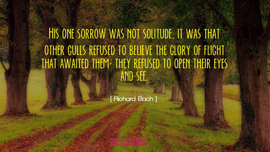 Solitude And Companionship quotes by Richard Bach