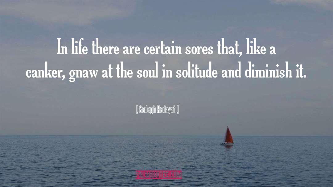 Solitude quotes by Sadegh Hedayat