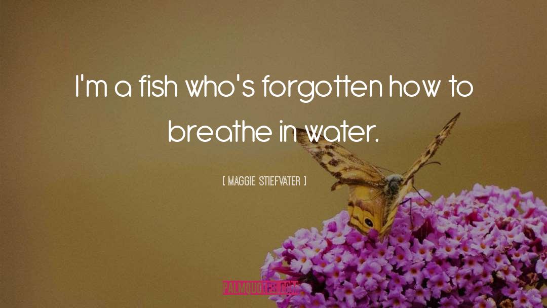 Sollman Fish quotes by Maggie Stiefvater
