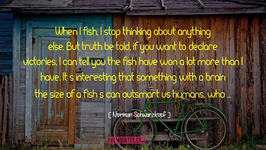 Sollman Fish quotes by Norman Schwarzkopf