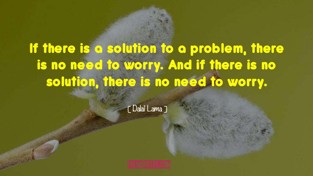 Solution To A Problem quotes by Dalai Lama