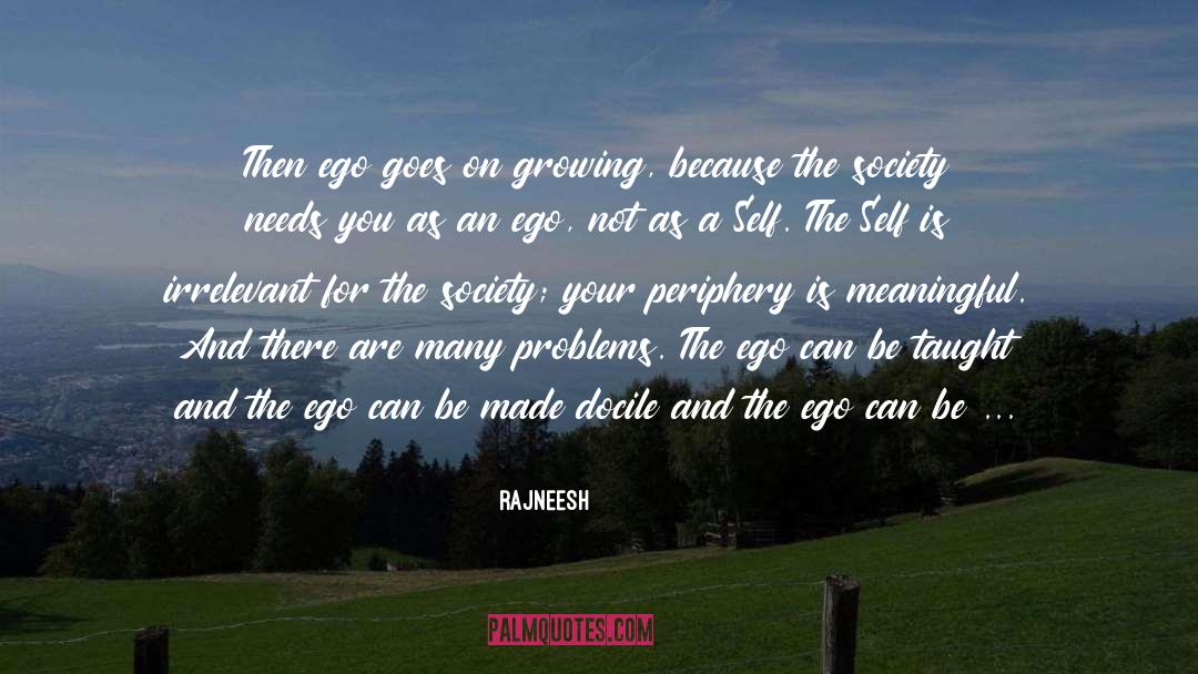 Solutions To Your Problems quotes by Rajneesh