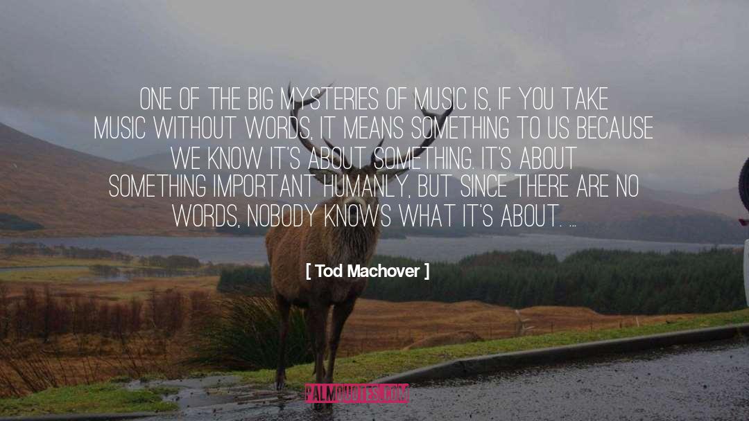 Solving Mysteries quotes by Tod Machover