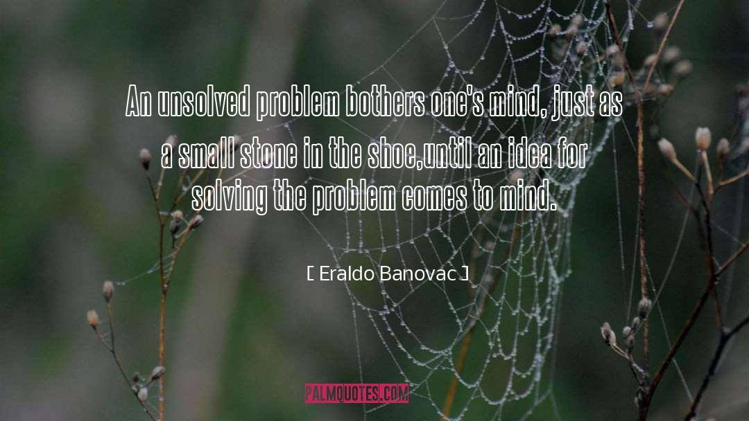 Solving Problems quotes by Eraldo Banovac
