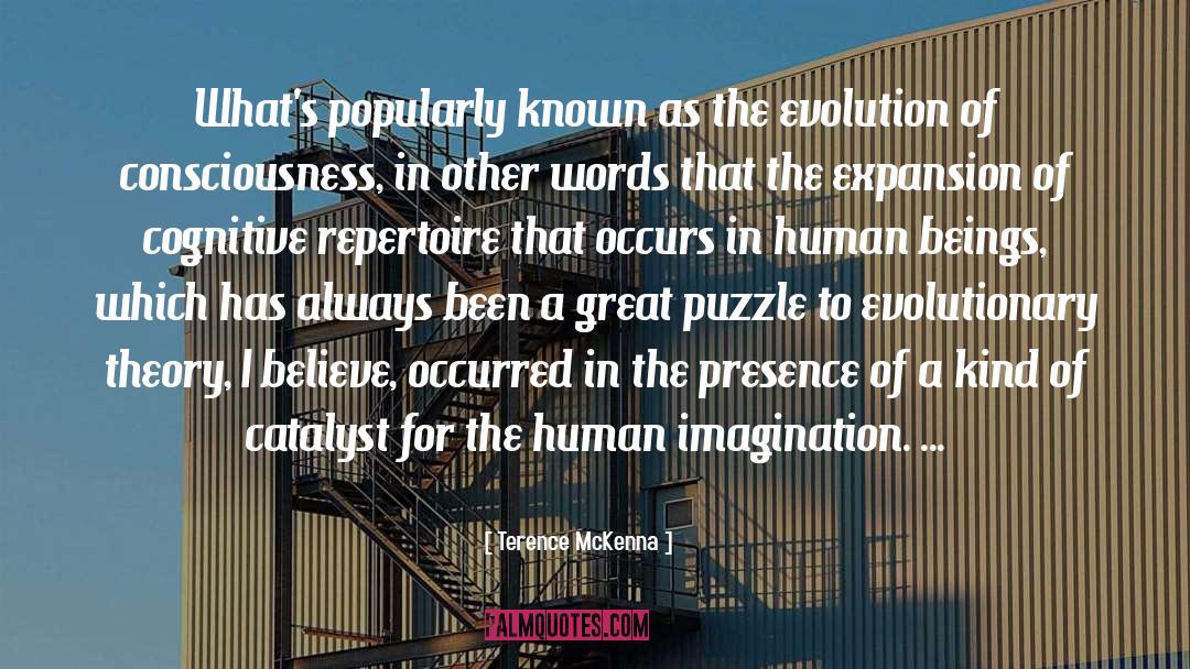 Solving Puzzles quotes by Terence McKenna