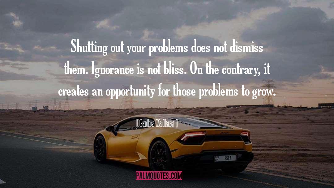 Solving Your Problems quotes by Carlos Wallace