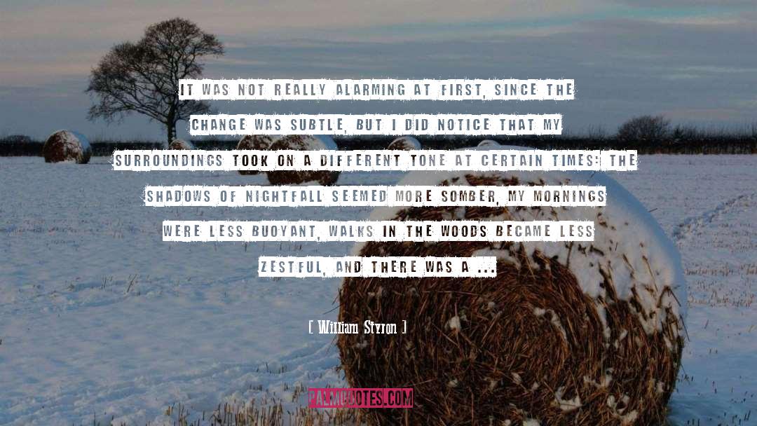 Somber quotes by William Styron