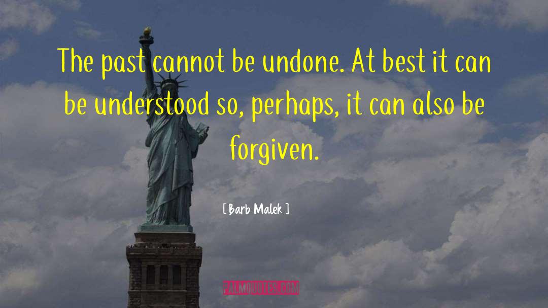 Some Mistakes Cannot Be Forgiven quotes by Barb Malek