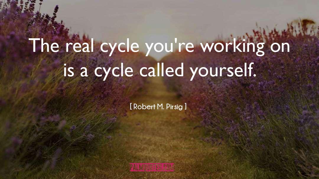 Some Philosophical quotes by Robert M. Pirsig
