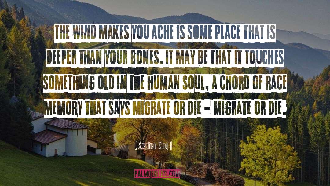 Some Place quotes by Stephen King