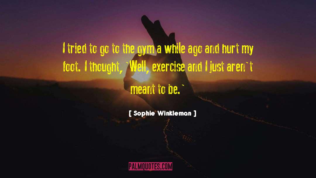 Some Things Arent Meant To Be quotes by Sophie Winkleman