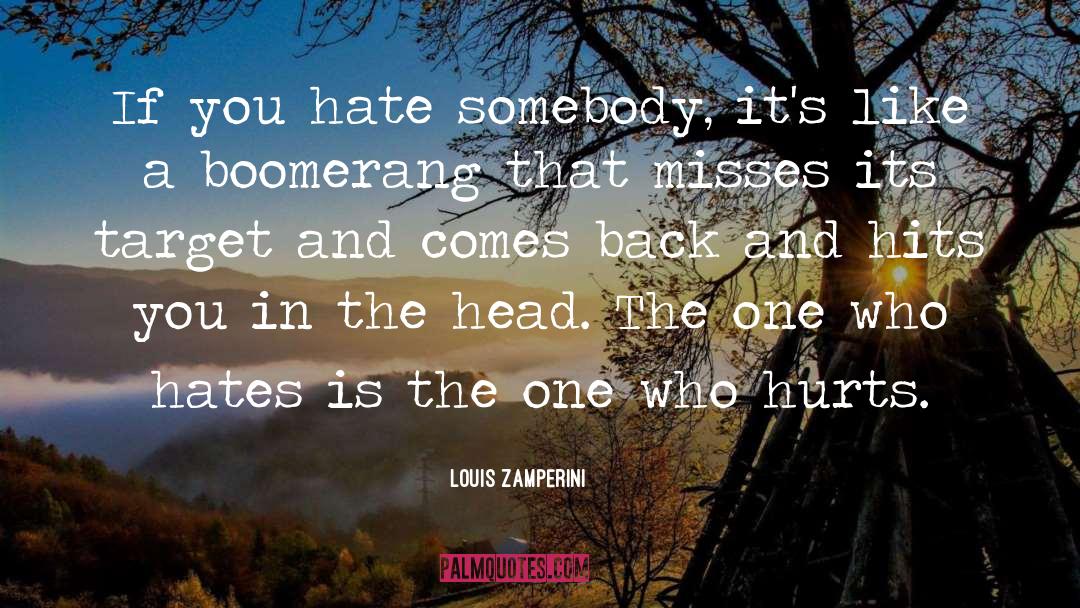 Somebody Hurts You quotes by Louis Zamperini