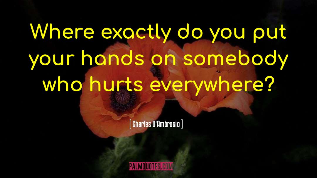 Somebody Hurts You quotes by Charles D'Ambrosio