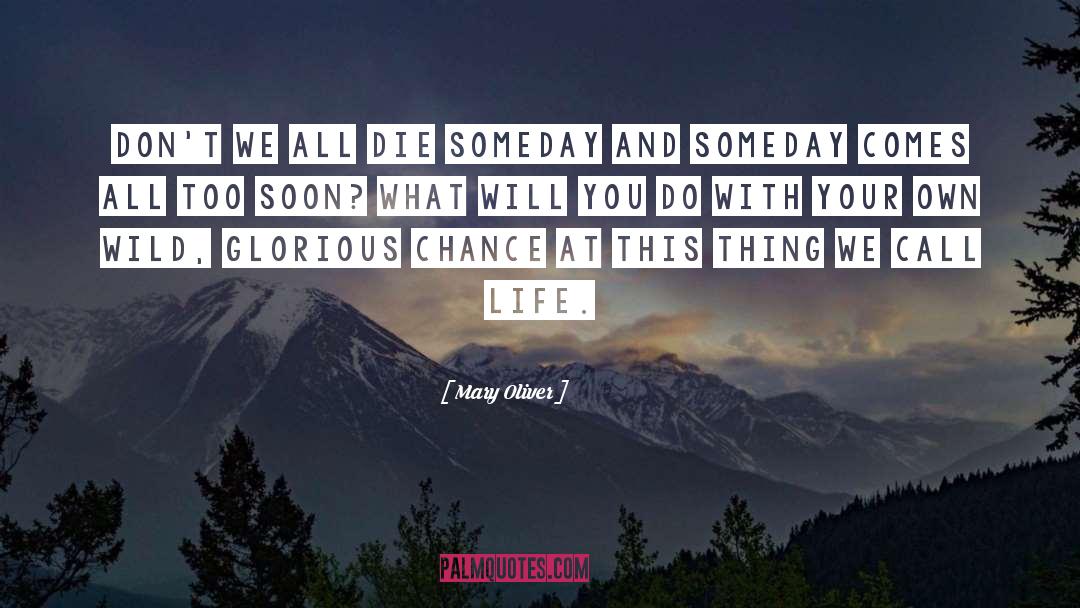 Someday quotes by Mary Oliver