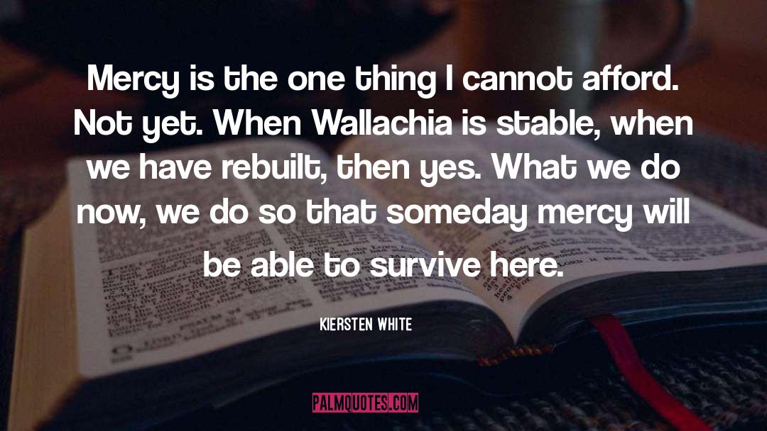 Someday quotes by Kiersten White